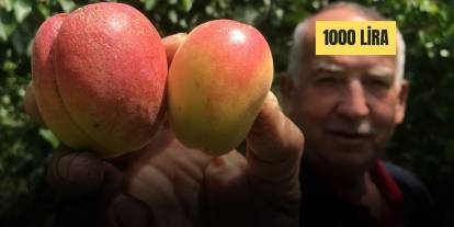 Zirai Don Sadece Meyveleri Değil Cepleri de Yaktı