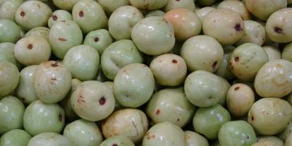 Mucize Meyve! Ölüm Hariç Her Derde Deva