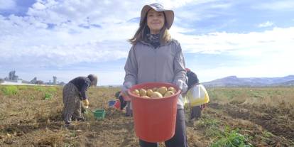 Sivas'ta 11 Patates Türüne Adaptasyon Testi Başlad