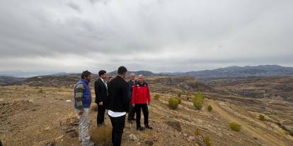 Anadolu'nun en büyük ceviz bahçesi Sivas'ta