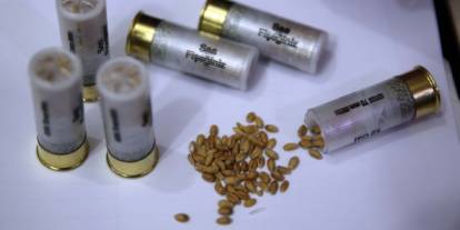 Tohum fişeğiyle yangın zararları hızla onarılacak