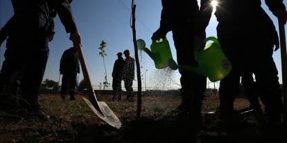 Sivas’ta yeşil miras: Ulaş ve Gemerek’te fidan dikimi