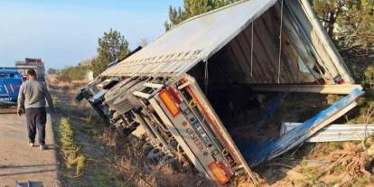 Kontrolden çıkan tır devrildi: 5 büyükbaş telef oldu
