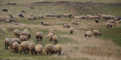 Islah Projeleri"ne 2,7 milyar lira destek sağlandı