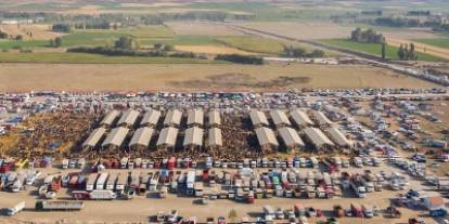 Şarkışla Hayvan Pazarı 12 Aralık’ta Yeniden Açılıyor