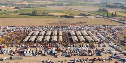 Türkiye'nin En Büyük Hayvan Pazarı Yeniden Açılıyor