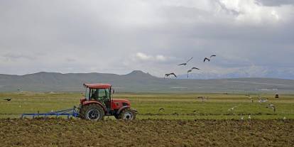 Çiftçilere  tarımsal destekleme ödemesi bugün yapılacak