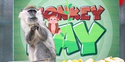 Maymun Günü Muz Partisiyle Kutlandı! Fotoğrafları Görmeniz Lazım