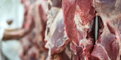 Şap Hastalığı Et Piyasasını Vurdu: Fiyatlar Yükseliyor