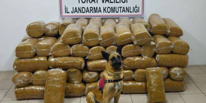 Sivas Yolunda Köpek İşaret Etti, Ekipler Yakaladı