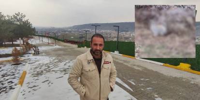 Sivas'ta Kedi Sandığı Hayvan Bakın Ne Çıktı