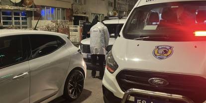 Sivas'ta kardeş cinayeti, ağabeyini öldürdü