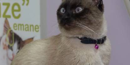 Son gün 31 Aralık, taktırmayana ceza