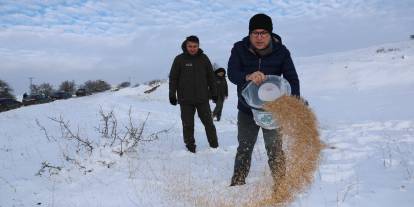 Sivas’ta Soğuk Havada Yaban Hayvanları Unutulmadı