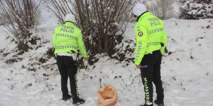 Sivas’ta trafik polislerinden doğaya can