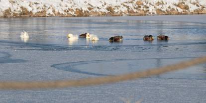 Sivas’ta Hava Eksi 10’u Gördü, Gölet Dondu