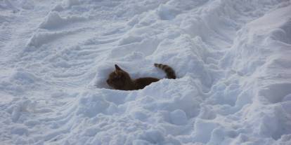 "Eski kışlar geri geldi"