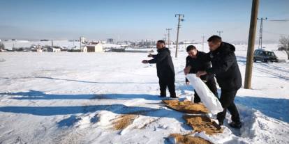 Sivas’ta soğuk havada doğaya şefkat eli