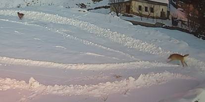 Dün Avcıydı Bugün Av Oldu