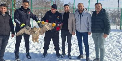 Sivas’ta öğrencilerin dikkati puhu kuşunu hayata bağladı