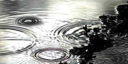 Yağmur suyu hasadıyla kuraklığa dirençli şehirler oluşturulabilir