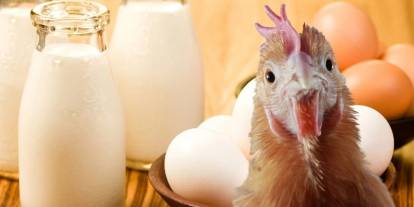 TÜİK Verileri Endişelendirdi