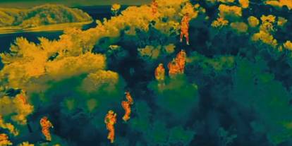 15 ilde göçmen kaçakçılığı operasyonu