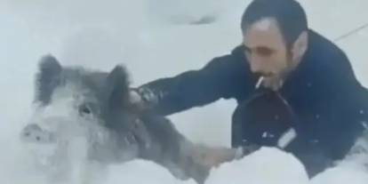 Domuz yavrusunu eliyle yakaladı, Cezayı yedi