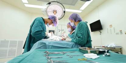 Organ Mafyasına Büyük Darbe: Teyze-Yeğen Tuzağı Deşifre Edildi