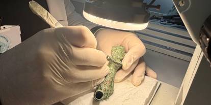 Tarihi eserlere 'hayat veriyorlar'