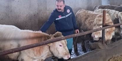 Sivas’ta şapla mücadele sürüyor