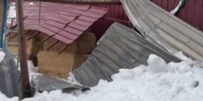 Sivas'ta Yoğun Kar Samanlığı Yıktı