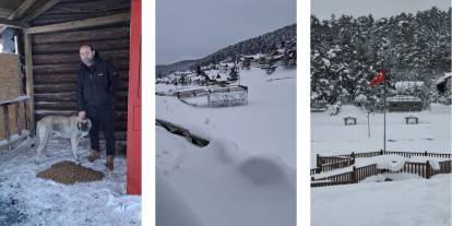 Sivas'ta yaban hayvanları unutulmadı