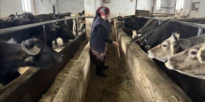 5 Mandayla Başladı, 20’ye Ulaştı