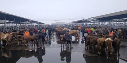 Pazar Yeniden Açıldı, Çevre İllerden Akın Var