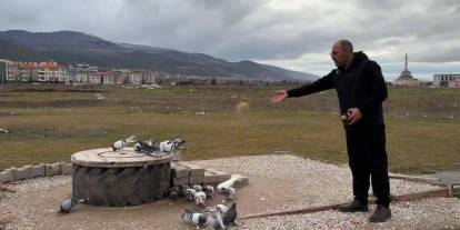 Sivas kuşu performansıyla yetiştiricilerin gözdesi oluyor