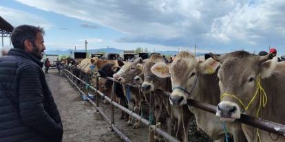 Sivas'ta Hayvan Pazarı’nın Günü Değişti