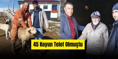 Sivas'ta Kar Felaketinin Yaraları İmece Usulüyle Sarıldı