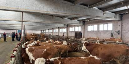 Sivaslı üreticilere destek uyarısı: İcmaller yayınlandı