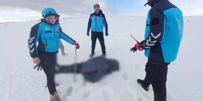 Kayıp olarak aranan Alzheimer hastası ölü bulundu