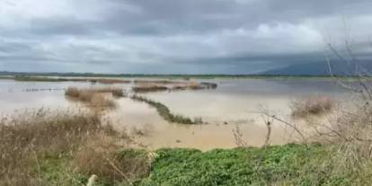 Nehir taştı, tarımın kritik ovasını su bastı
