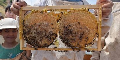 Sivas’ın zengin florası dünya sofralarını tatlandırıyor