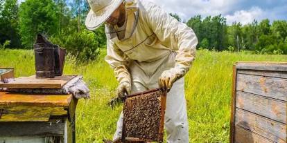 Sivas’ta arıcılığın geleceği masaya yatırılacak