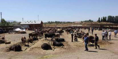 Sivaslı üretici için kredi düzenlemesi çağrısı