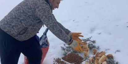 Yaban hayvanlarına umut oluyorlar