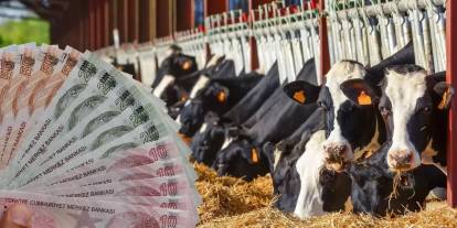 Sivas hayvancılıkta Türkiye’nin güçlü illeri arasında