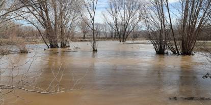 Sivas'ta ekili tarım arazisi su altında kaldı