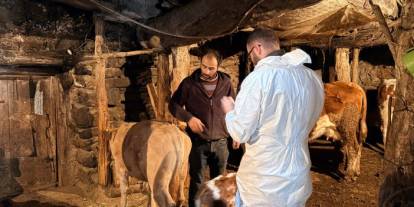 Sivas’ta Şap Aşılama Çalışmaları İmranlı’da Başladı