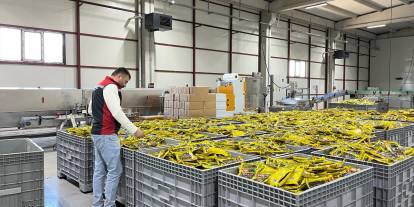 Sivas’ta kırsal kalkınma yatırımına inceleme