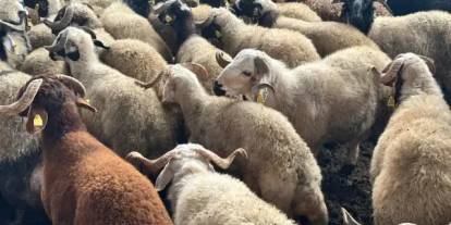 Belediye Ramazanda gönüllere dokundu